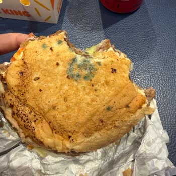 Müthiş Bir Sorumsuzluk: Burger King’de Küflü Ekmek Ve Gıda Zehirlenme Riski