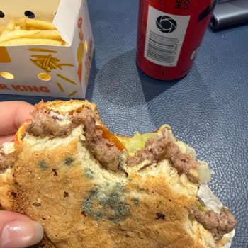 Müthiş Bir Sorumsuzluk: Burger King’de Küflü Ekmek Ve Gıda Zehirlenme Riski