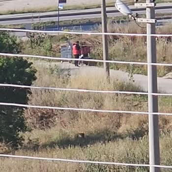 Kuryenin Siparişi Yiyerek Teslim Etmemesi