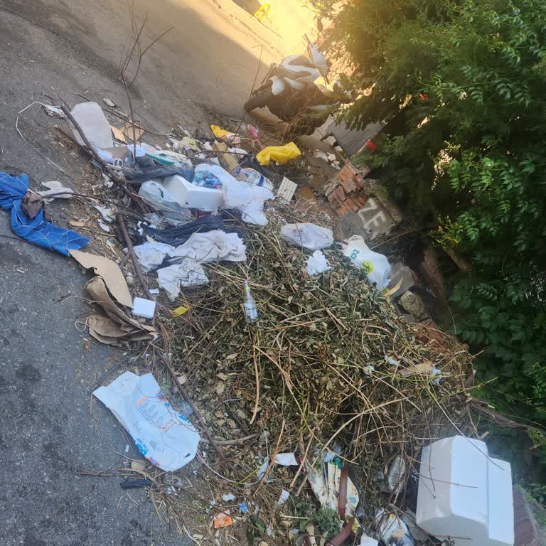 Ümraniye Dudullu’da Çöp Toplanmaması, Sinek Çoğalması Ve Sağlık Riski