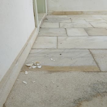 Mio Bianco Resort Ciddi Sorunlar Yaşadık