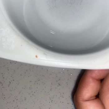 Bosch Bulaşık Makinesinde Paslanma Ve Yetkili Servisin İlgisiz Tutumu
