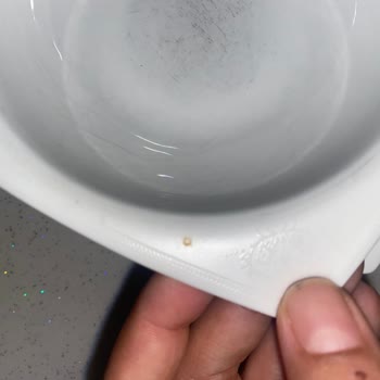Bosch Bulaşık Makinesinde Paslanma Ve Yetkili Servisin İlgisiz Tutumu