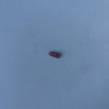 Dondurmanın İçindeki Sert Plastik Cisim Dişimi Kırma Tehlikesi Yaratıyor