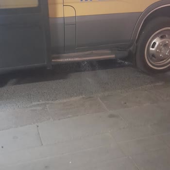 Köpekli Yolcunun Araç Girişi Şoför Tarafından Keyfi Reddedildi