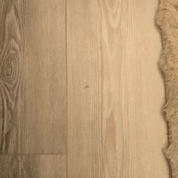 Ecovacs Deebot X11 Model Robot Süpürgenin Temizlik Sorunları Ve Ücret İadesi Talebi