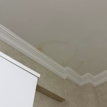 Eureko Sigorta'dan Su Sızıntısı Hasarı Red Kararı Ve Hakkaniyetli Değerlendirme Talebi
