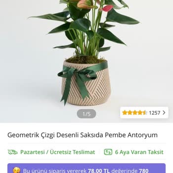 Çiçek Sepeti'nden Çürük Atatürk Anı Çiçeği, Yeniden Gönderim Talebi