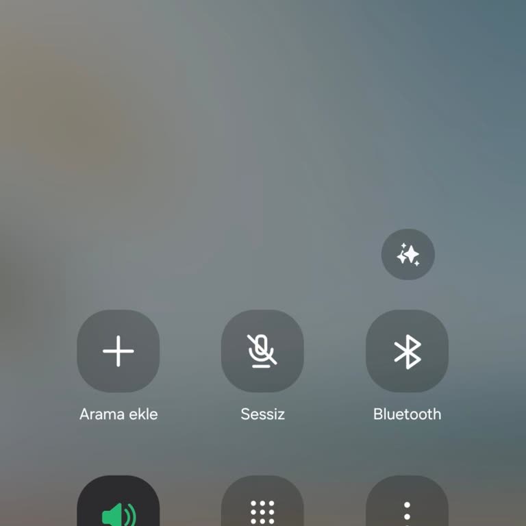 Zabıta Gece Telefonu Açılmıyor, Hayvan Ölümü Ve Gürültü Şikayetleri Çözülmüyor