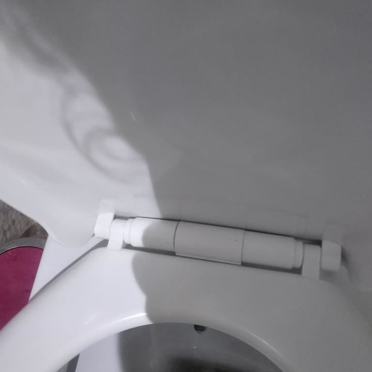 Alvit Klozet Kapağı Menteşesi Parçası Bulunamıyor, Ücretsiz Değişim Talebi