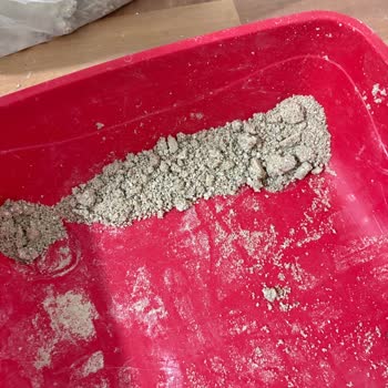 Lider Pet Food Vaat Edilen Tozsuz, Kokusuz Ve Topaklanmayan Proline Kedi Kumu Gerçek Olmadı