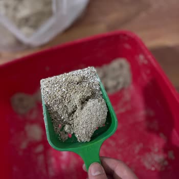 Lider Pet Food Vaat Edilen Tozsuz, Kokusuz Ve Topaklanmayan Proline Kedi Kumu Gerçek Olmadı