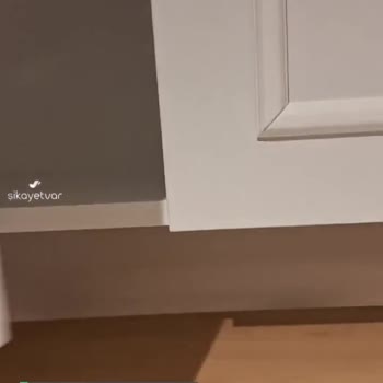 Evidea Mı Bir Daha Asla