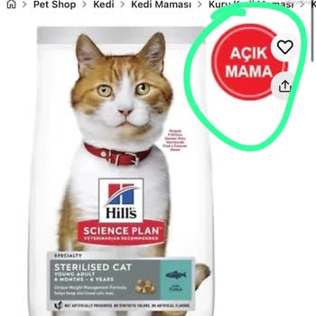 Yb Pet Market Kedilerim Zehirlenme Riskiyle Karşı Karşıya