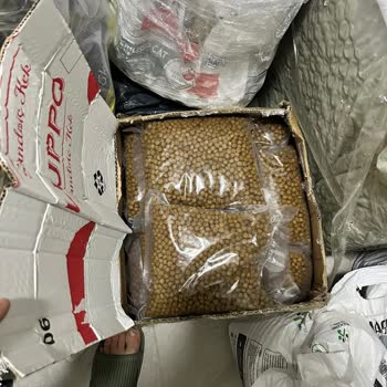 Yb Pet Market Kedilerim Zehirlenme Riskiyle Karşı Karşıya