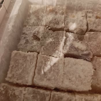 Koska Lokumunda Ölmüş Sinekler Ve Kalite Sorunu