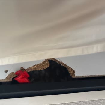 Heka Home Mobilyalarında Çoklu Kusurlar Ve Cevapsız Müşteri Hizmetleri