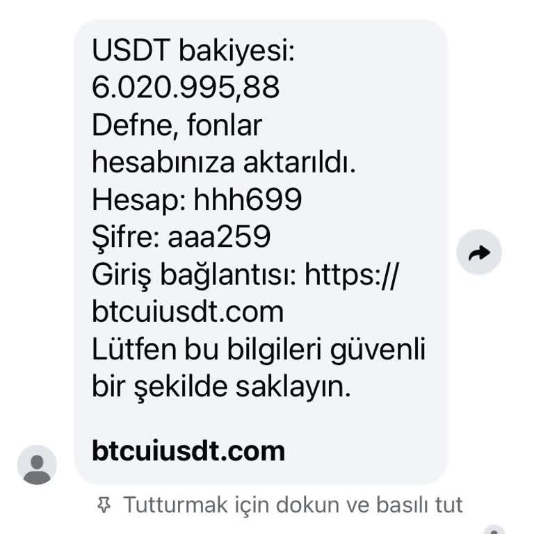 Instagram’da Sahte Kripto Hesap Bilgileri Ve Giriş Bağlantısı İçeren Mesaj Aldım