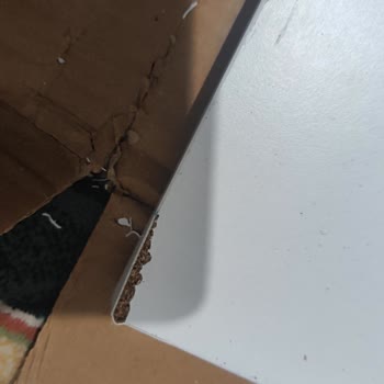 Kırık Masanın Evden Alınmaması Ve İade Sürecinin Gecikmesi