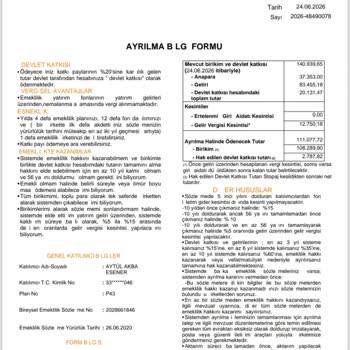 Maluliyet Nedeniyle Emeklilik Ayrılmasında Devlet Katkısı Ve Stopaj Kesintisindeki 30 Bin TL Farkı