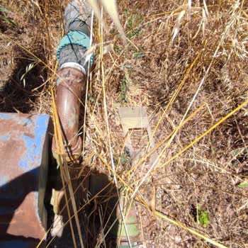 Elektrik Panosu Kapaklarının Atılması Ve Güvenlik Tehlikesi