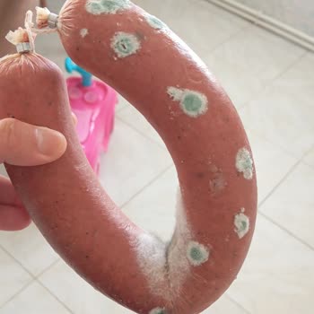 Küflü Sucukla Karşılaştım A101 Sakarya Şubesinde Gıda Güvenliği İhlali