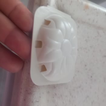 Raid Karınca Ve Kara Böcek Ürünleri Etkisiz, Evde Böcek İstilası Artıyor