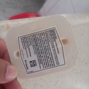 Raid Karınca Ve Kara Böcek Ürünleri Etkisiz, Evde Böcek İstilası Artıyor