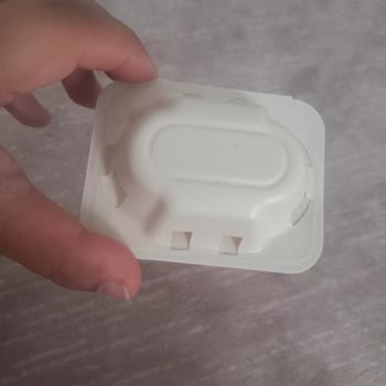 Raid Karınca Ve Kara Böcek Ürünleri Etkisiz, Evde Böcek İstilası Artıyor