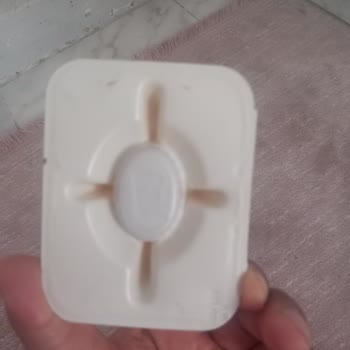 Raid Karınca Ve Kara Böcek Ürünleri Etkisiz, Evde Böcek İstilası Artıyor
