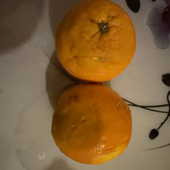 Migros Hemen'de Çürük Portakal Ve Destek Yokluğu