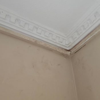 Kirli Eller Ve Saygısız Davranışla Duvarlar Kirlenip Montaj İptal Edildi