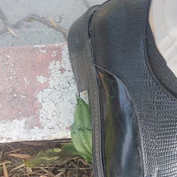 Ayakkabının Hızlı Kırılması Ve Garanti Tamirinde Cevap Almama