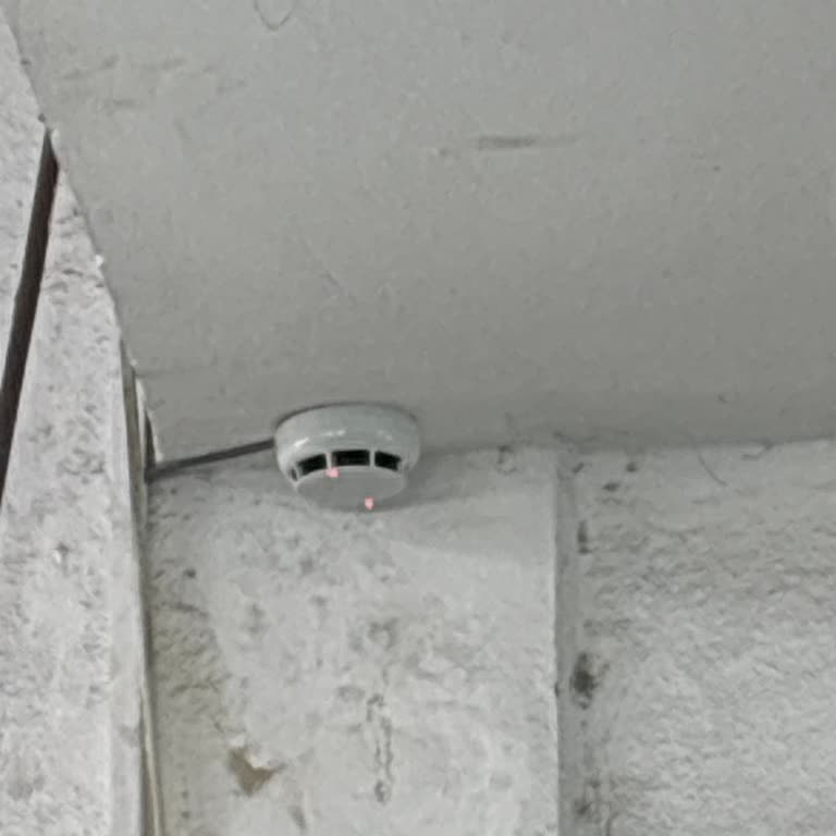 Oto Boya Atölyesinde Yanlış Alarm Veren Yangın Dedektörleri Ve Yetersiz Müşteri Desteği
