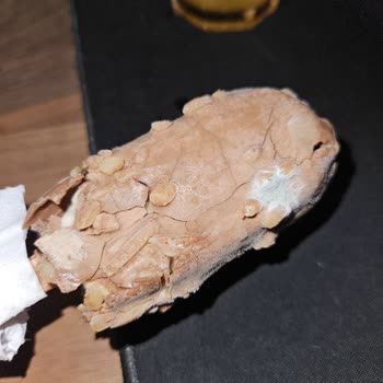 Son Kullanma Tarihi Geçmemiş Magnum Mini Dondurmanın Küflü Ve Bozulmuş Olması