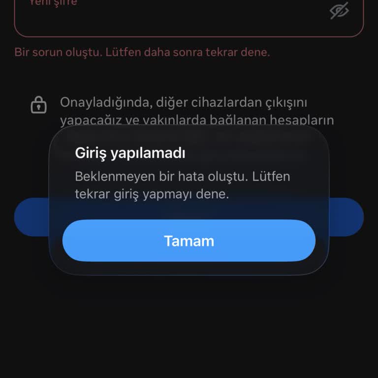 Instagram Hesabına Erişim Sorunu, Güvenlik Doğrulama Hatası