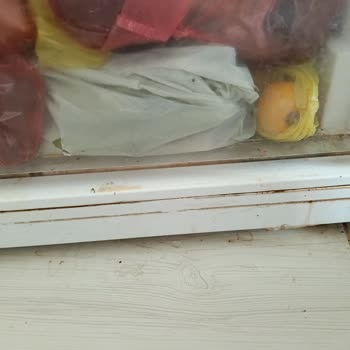 Vestel Buzdolabında Sebzelik Kapak Arasından Su Sızması Ve Değişim Talebi