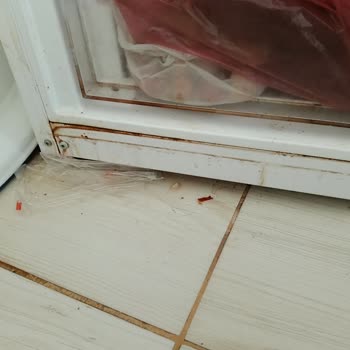 Vestel Buzdolabında Sebzelik Kapak Arasından Su Sızması Ve Değişim Talebi