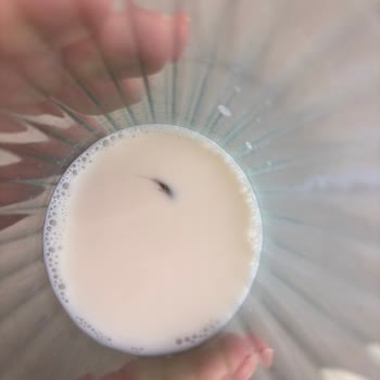 Süt İçinde Böcek Görülmesi Hijyen Ve Güven Sorunu