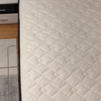 Tekrarlayan Çökme Sorunu Nedeniyle Para İadesi Ve Farklı Model İsteği