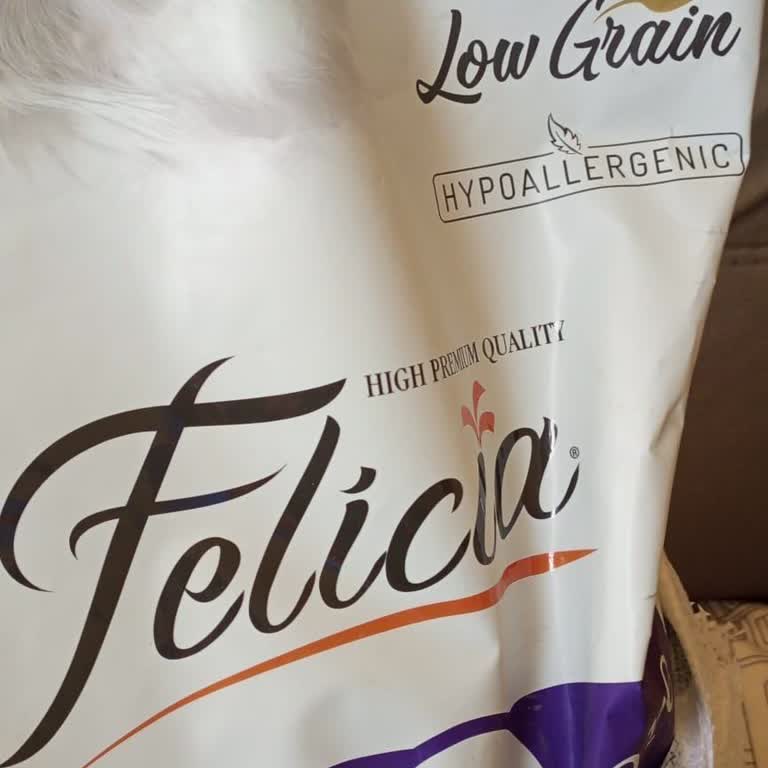 Orijinal Olmadığı Belirlenen Kedi Maması İçin İade Reddi Ve Sağlık Endişesi