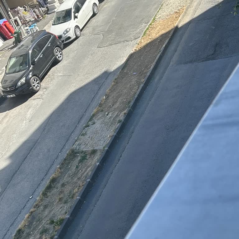 Bakımsız Yeşil Alan Ve Çalışmayan Fıskiyelere Acil Çözüm Talebi
