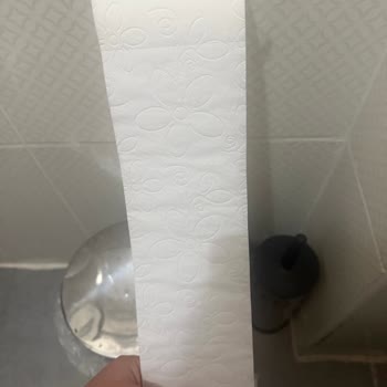 Bambu Katkılı Solo Tuvalet Kağıdında Kesim Sorunu Ve Aşırı Kağıt İsrafı