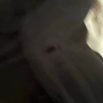Kısa Kullanımda Yırtılan Pantolon İçin İade Talebi
