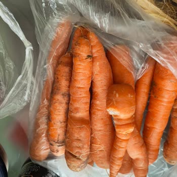 CarrefourSA Mağazadan Gel Al Siparişinde Çürük Havuç, Şeftali Ve Mısır
