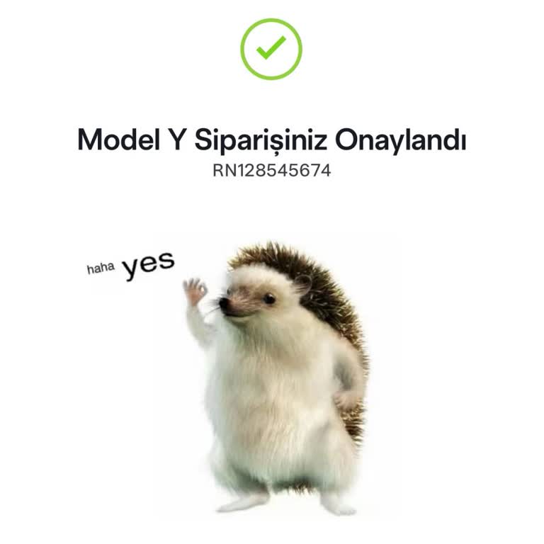 Tesla Model Y Siparişinde Yanıltıcı Mevcut Bildirimi Ve Tek Taraflı İptal