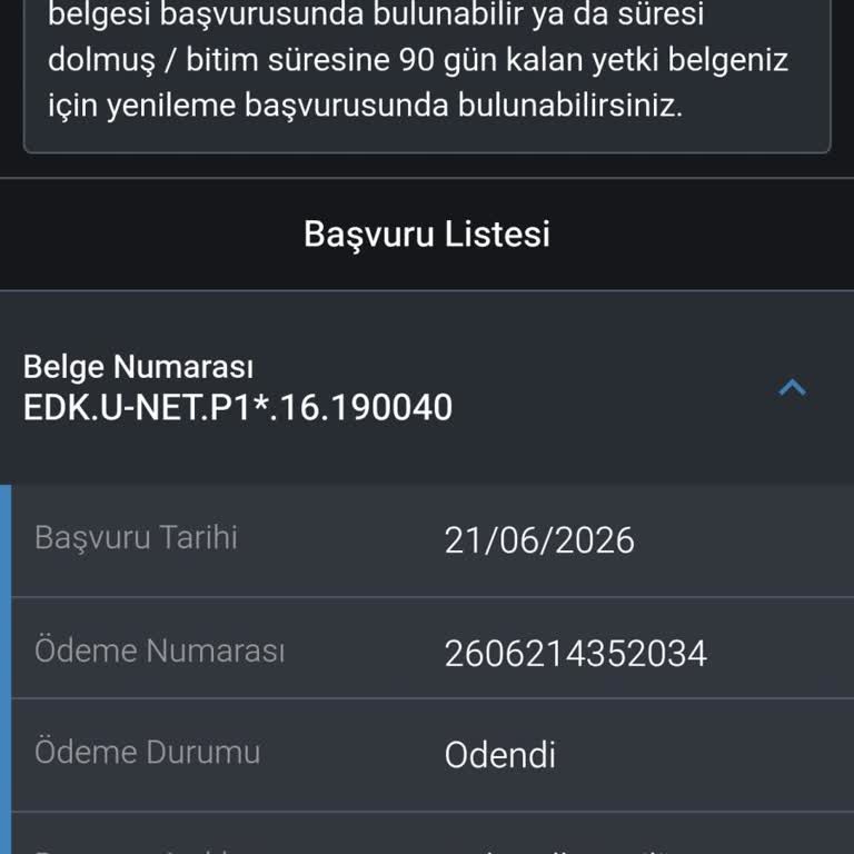 P1 Belgesi Başvurusu Gecikmesi İşe Girişimi Engelliyor