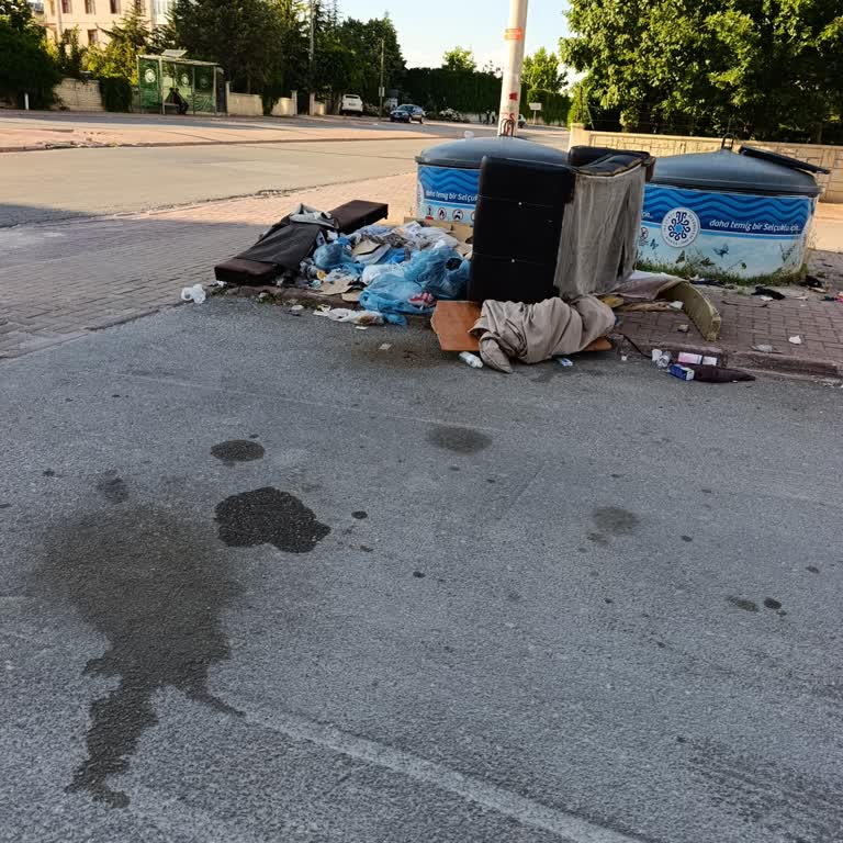 Büyük Eşya Atıklarının Toplanmaması Sağlık Ve Konforu Tehdit Ediyor