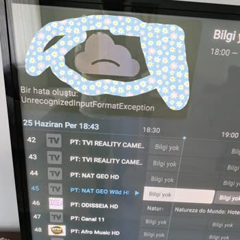 IP TV Box Pro Aboneliğinde Yayın Kesintileri Ve Yanıtsız Destek