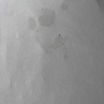 Miele Çamaşır Makinesinde Yağ Sızıntısı Nedeniyle Leke Sorunu Ve Ücretsiz Onarım Talebi